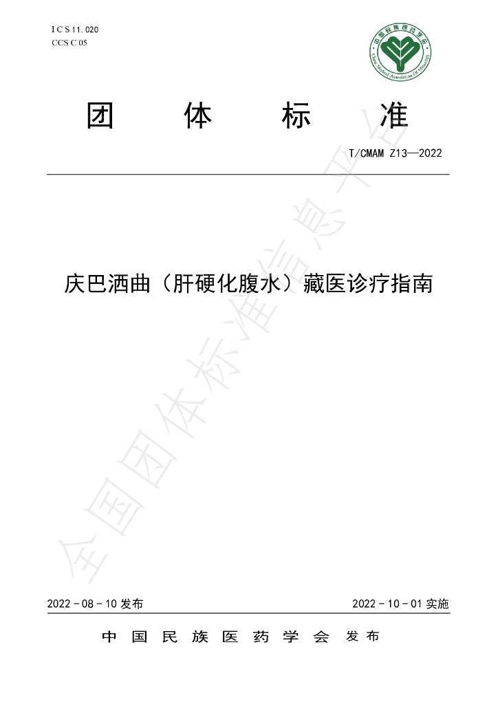 T/CMAM Z13-2022 标准预览