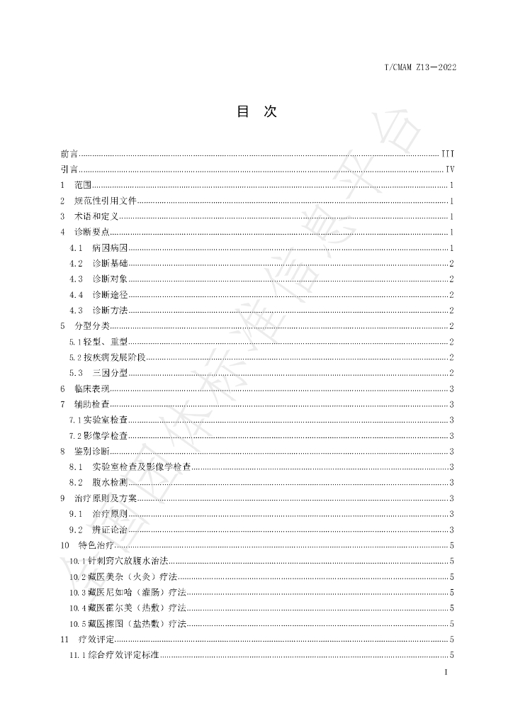 T/CMAM Z13-2022 标准预览