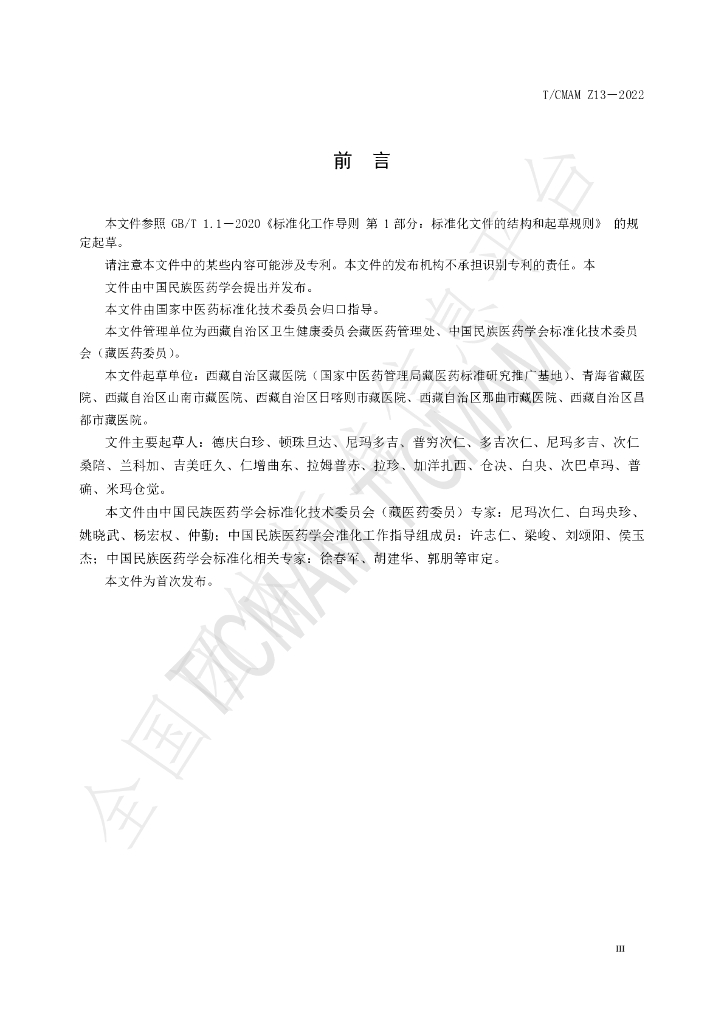 T/CMAM Z13-2022 标准预览