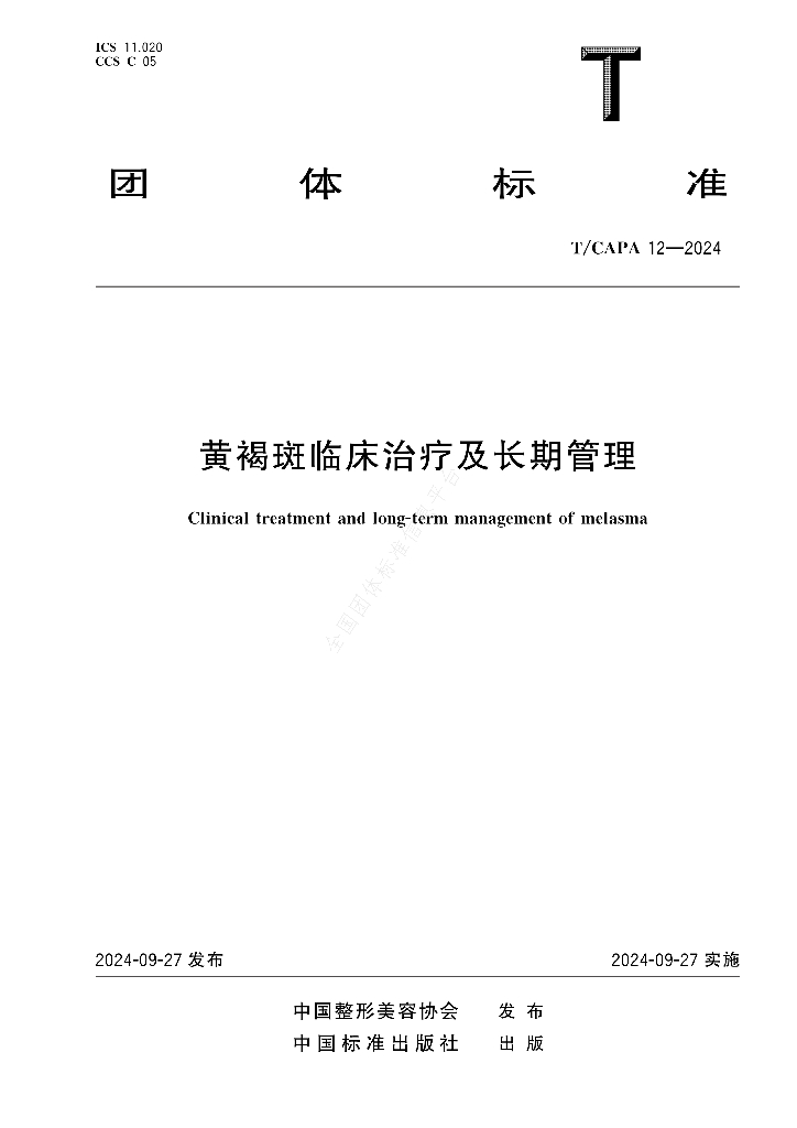 T/CAPA 12-2024 标准预览