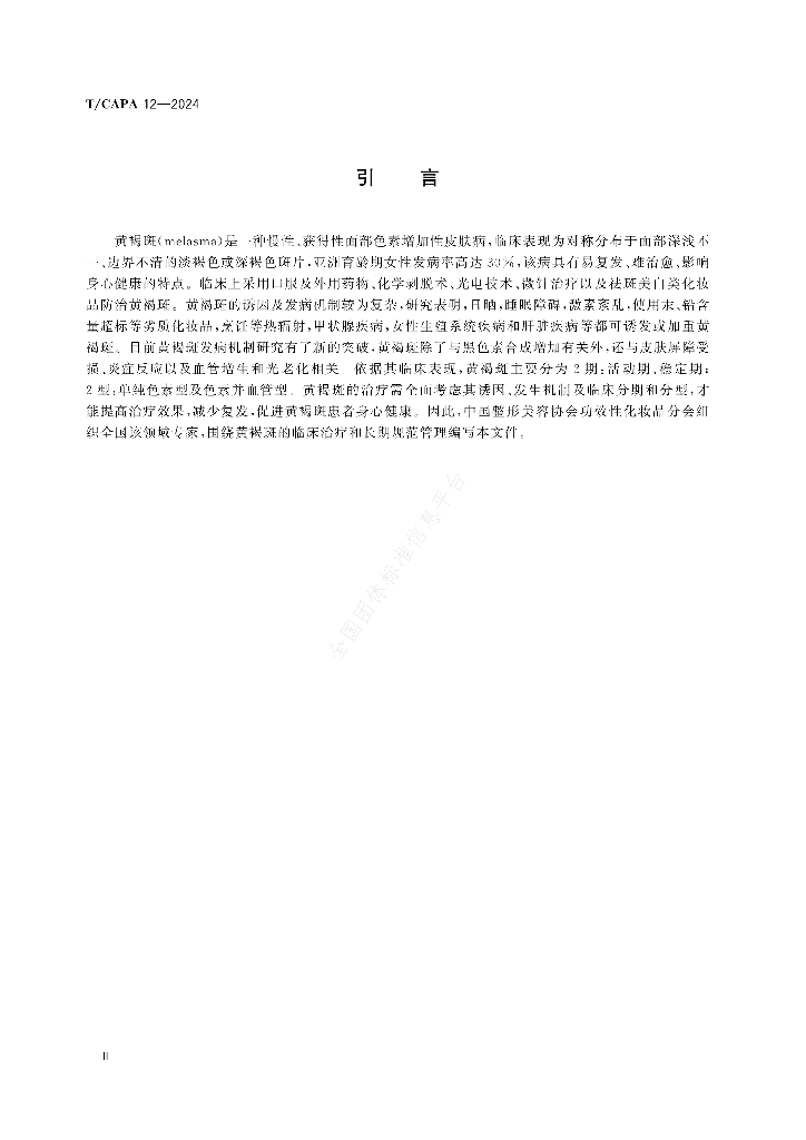 T/CAPA 12-2024 标准预览