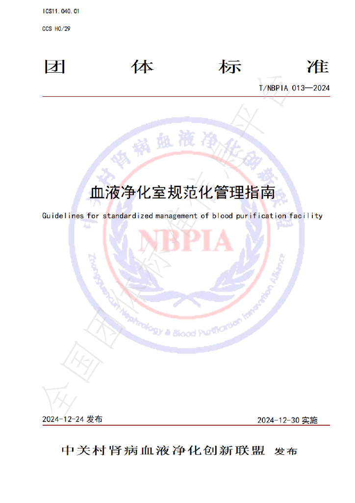 T/NBPIA 013-2024 标准预览