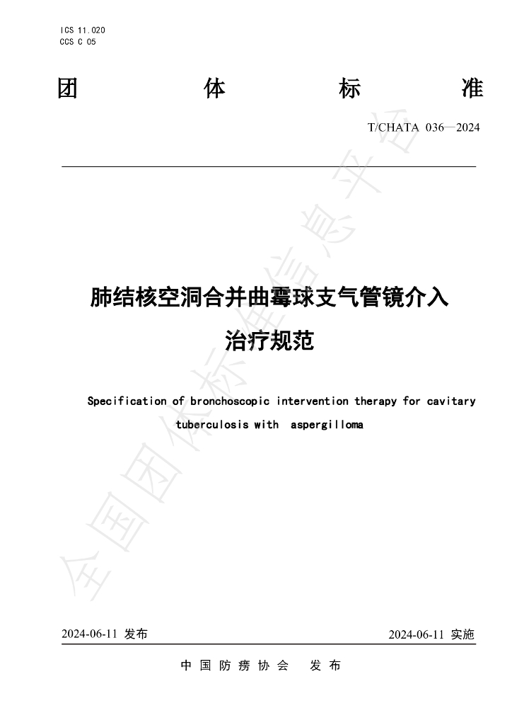 T/CHATA 036-2024 标准预览