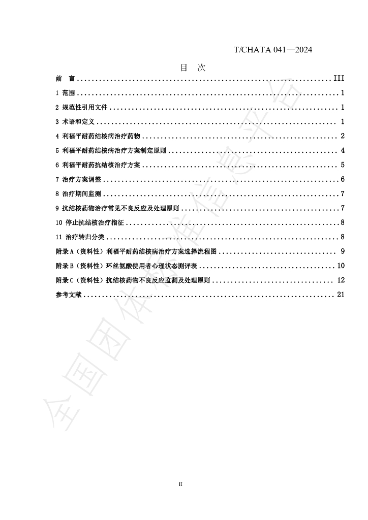 T/CHATA 041-2024 标准预览