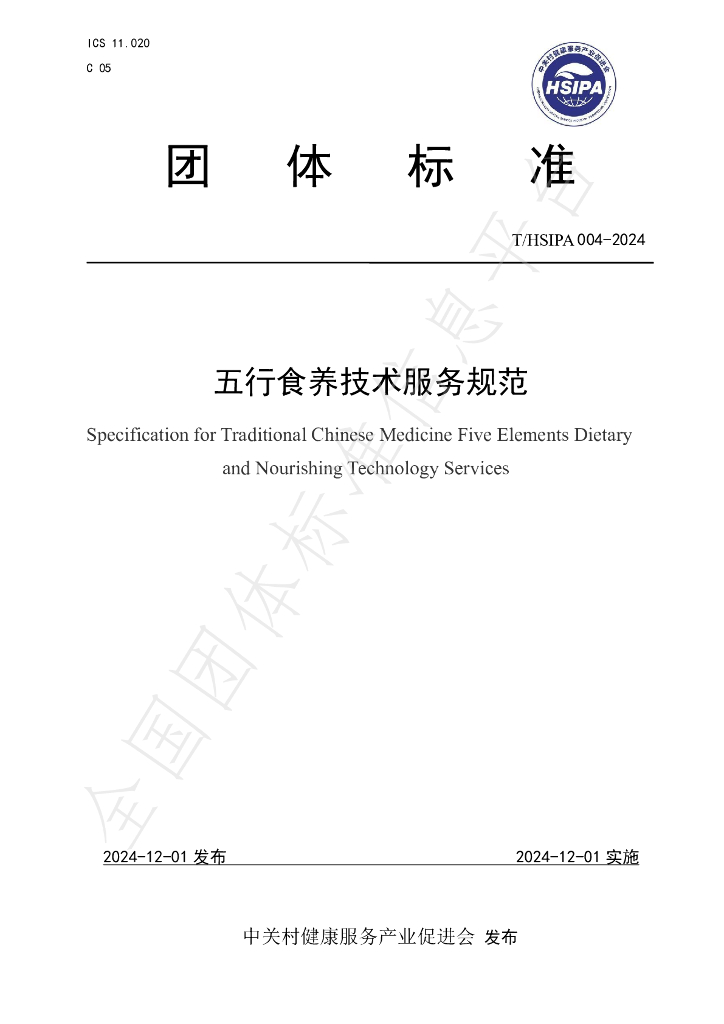 T/HSIPA 004-2024 标准预览