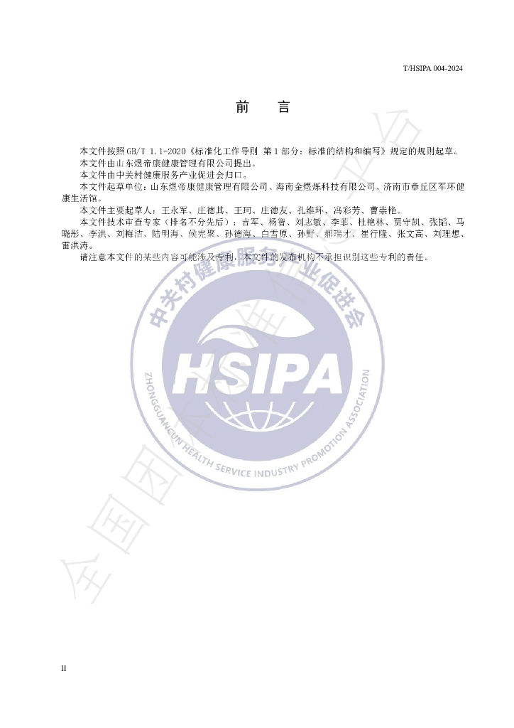 T/HSIPA 004-2024 标准预览