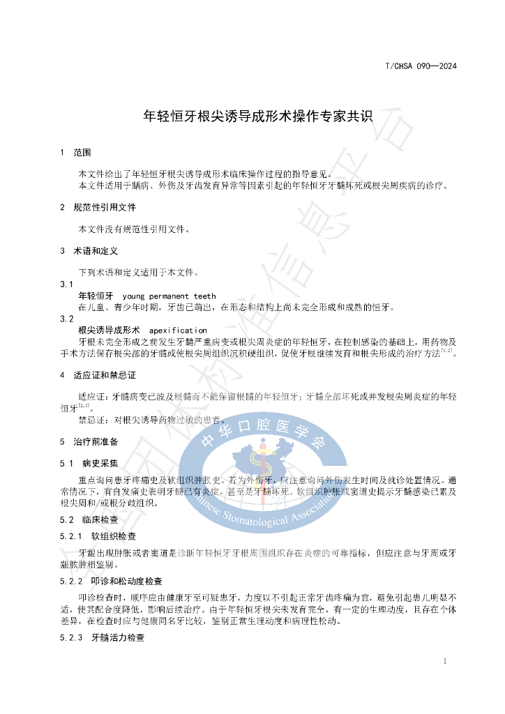 T/CHSA 090-2024 标准预览