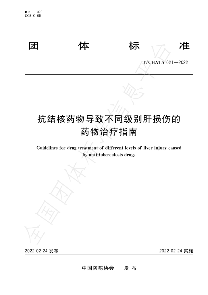 T/CHATA 021-2022 标准预览