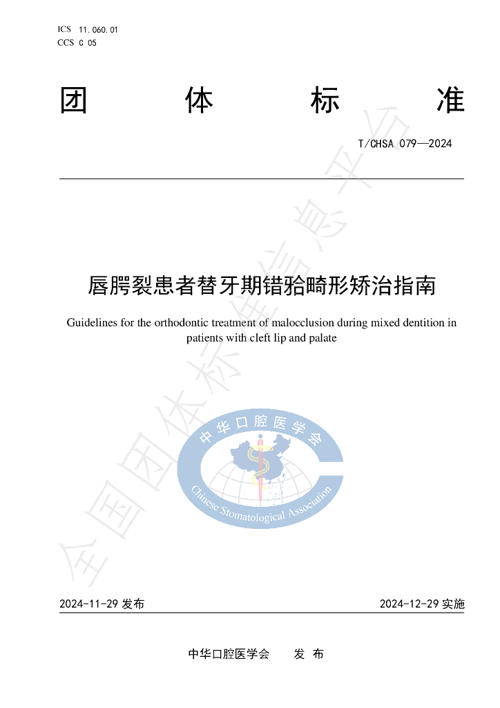 T/CHSA 079-2024 标准预览
