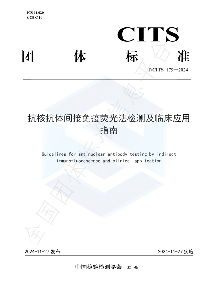 T/CITS 179-2024 标准预览