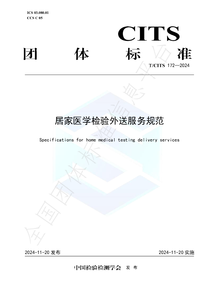 T/CITS 172-2024 标准预览