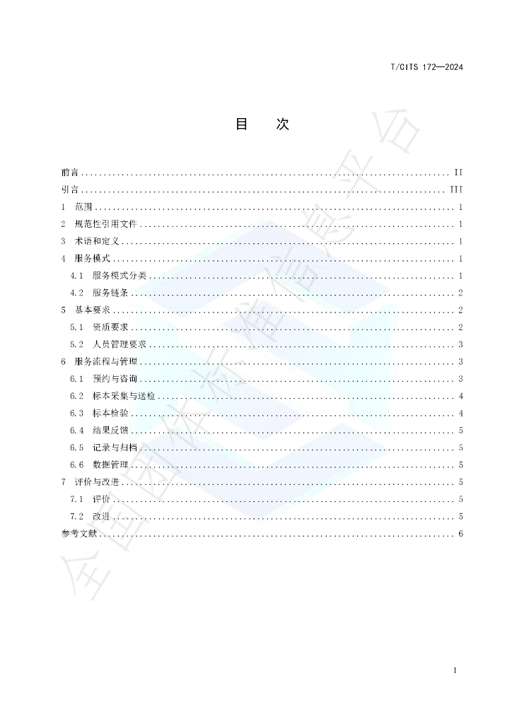 T/CITS 172-2024 标准预览