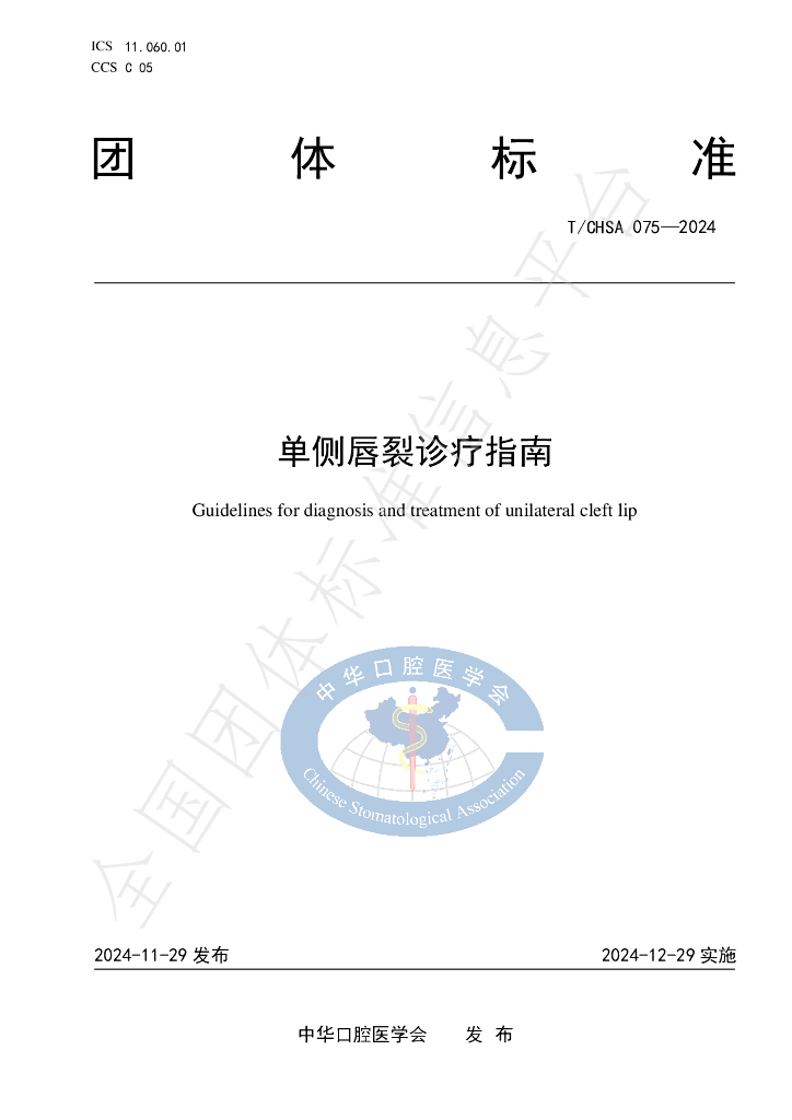 T/CHSA 075-2024 标准预览