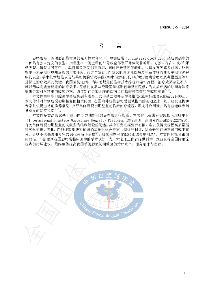 T/CHSA 075-2024 标准预览