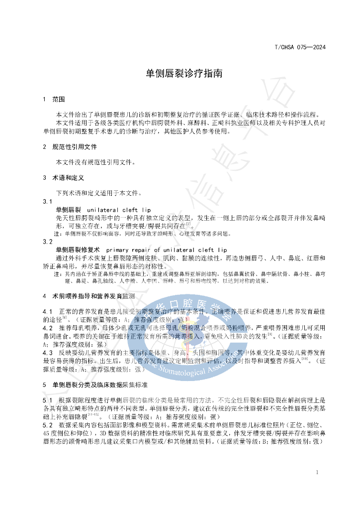 T/CHSA 075-2024 标准预览