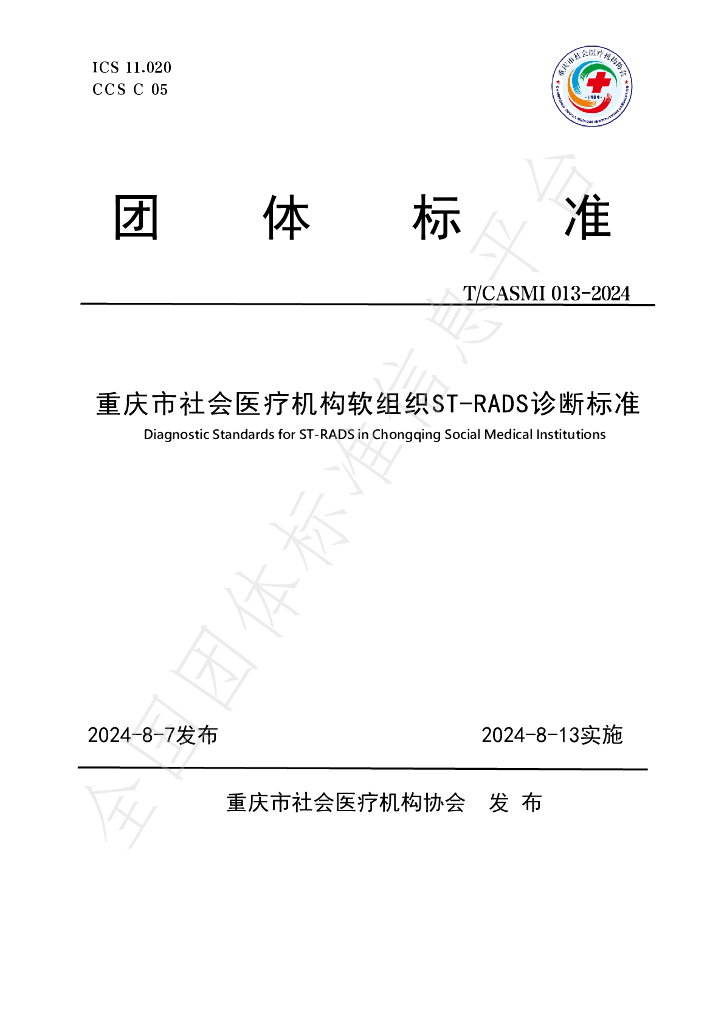 T/CASMI 013-2024 标准预览
