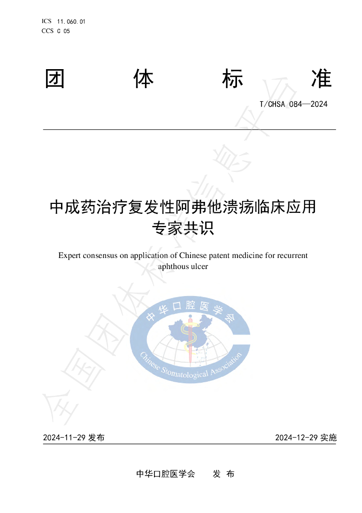 T/CHSA 084-2024 标准预览