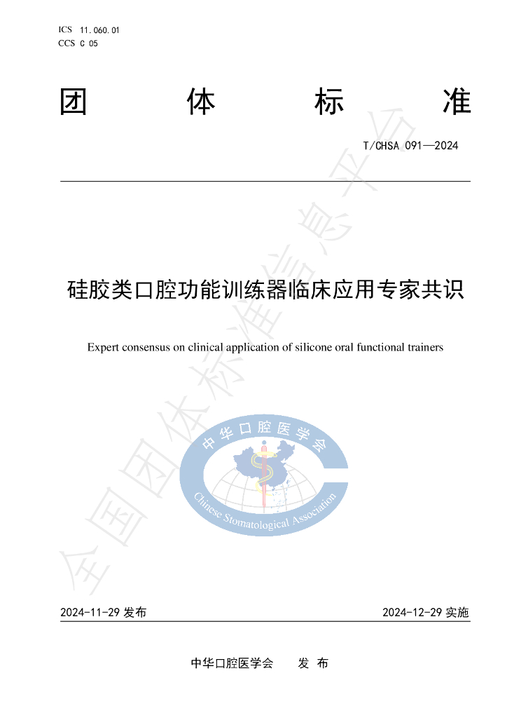 T/CHSA 091-2024 标准预览