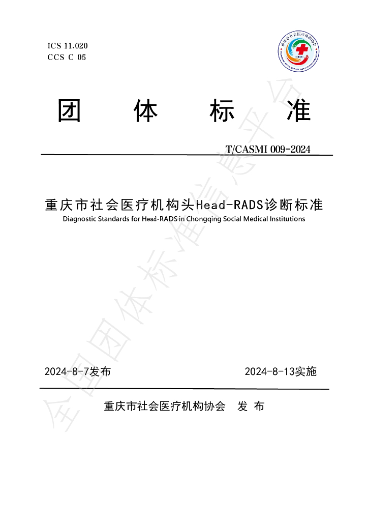 T/CASMI 009-2024 标准预览