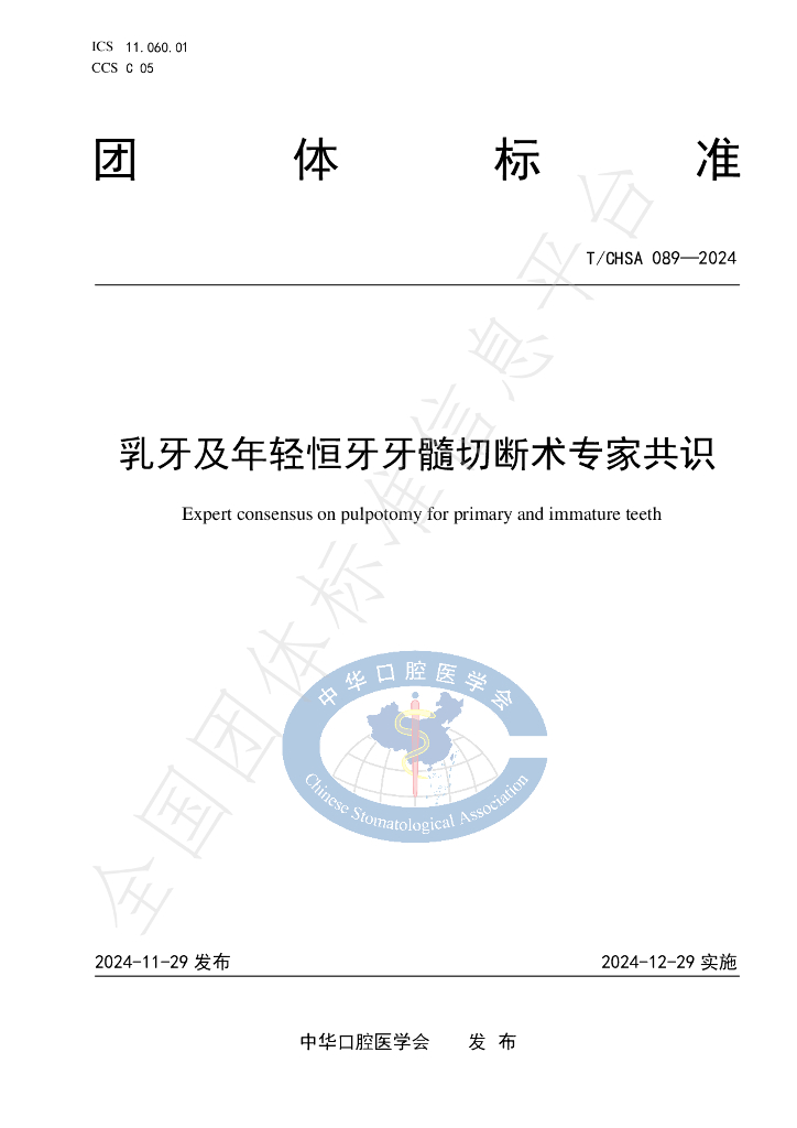 T/CHSA 089-2024 标准预览