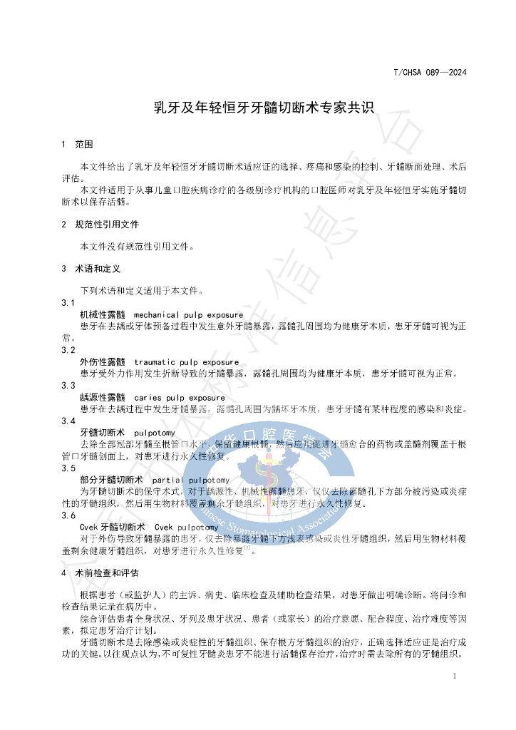 T/CHSA 089-2024 标准预览