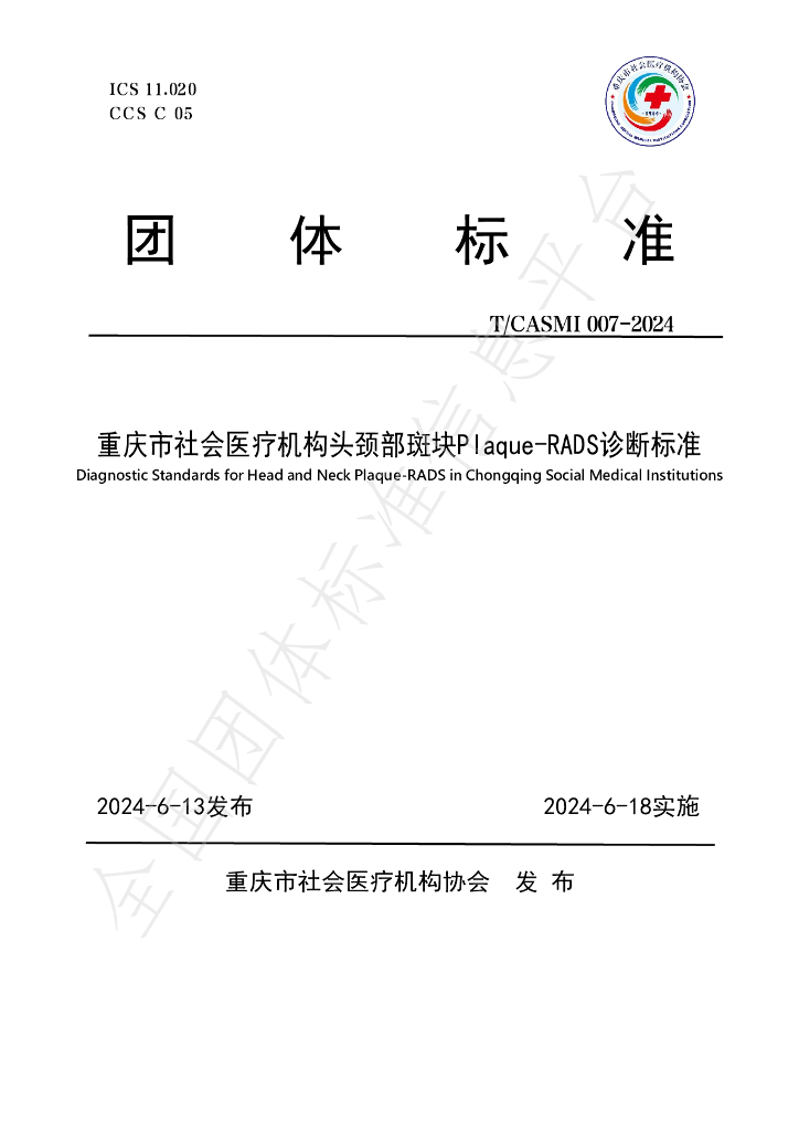 T/CASMI 007-2024 标准预览