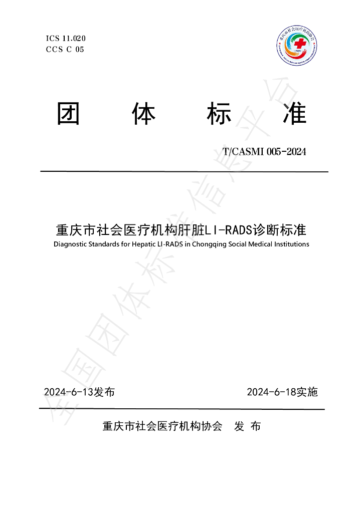 T/CASMI 005-2024 标准预览