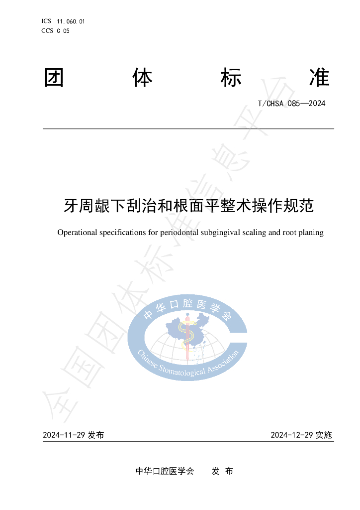 T/CHSA 085-2024 标准预览
