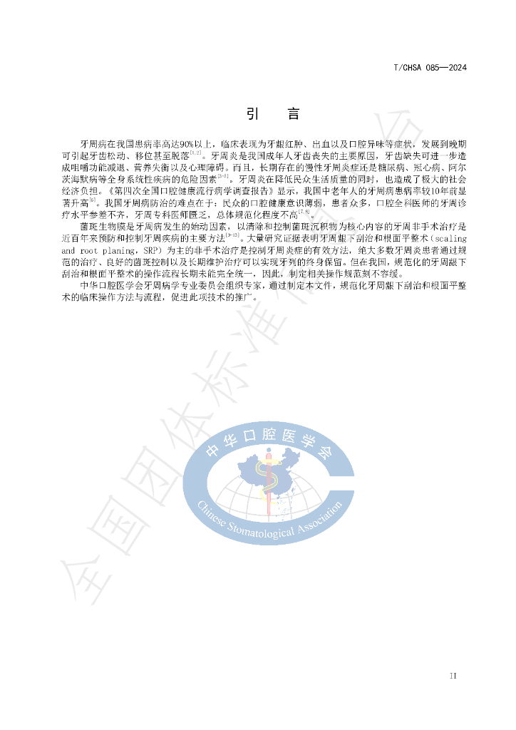 T/CHSA 085-2024 标准预览