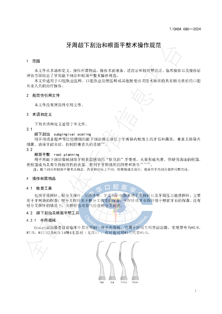T/CHSA 085-2024 标准预览