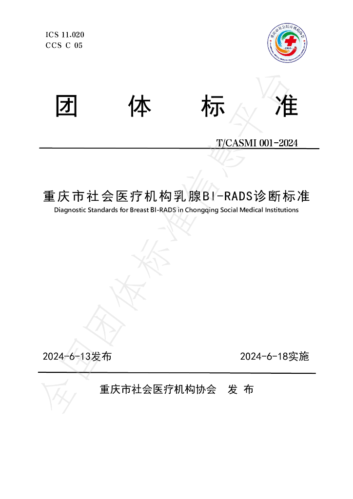 T/CASMI 001-2024 标准预览