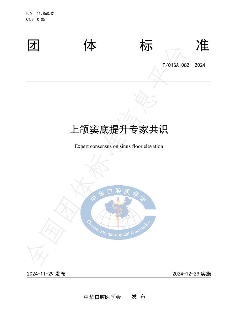 T/CHSA 082-2024 标准预览