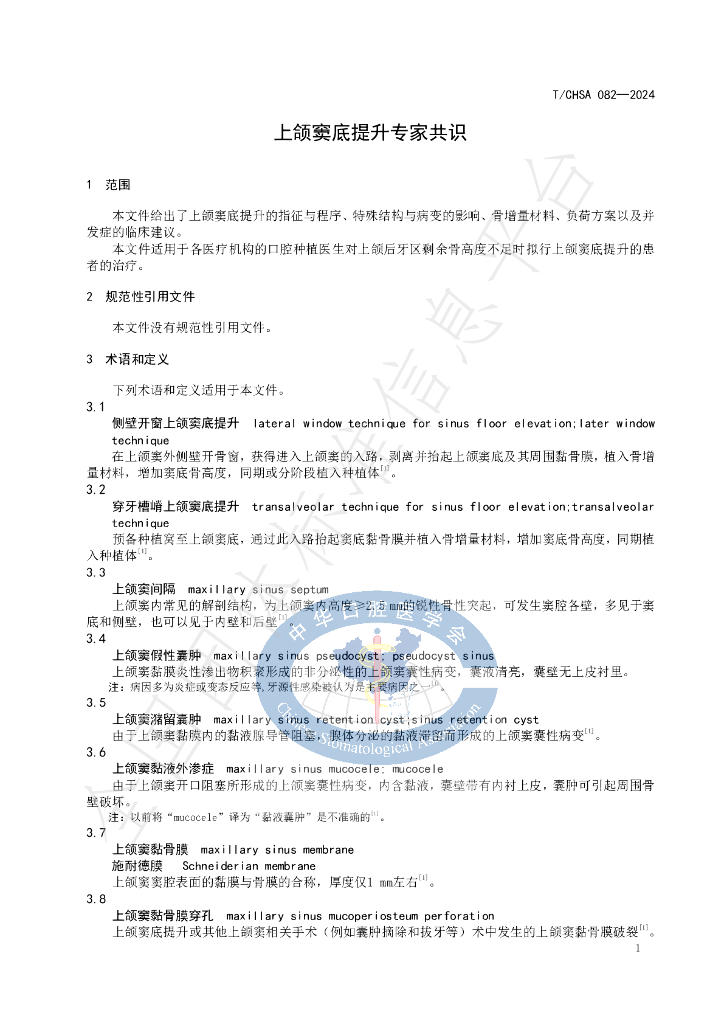 T/CHSA 082-2024 标准预览