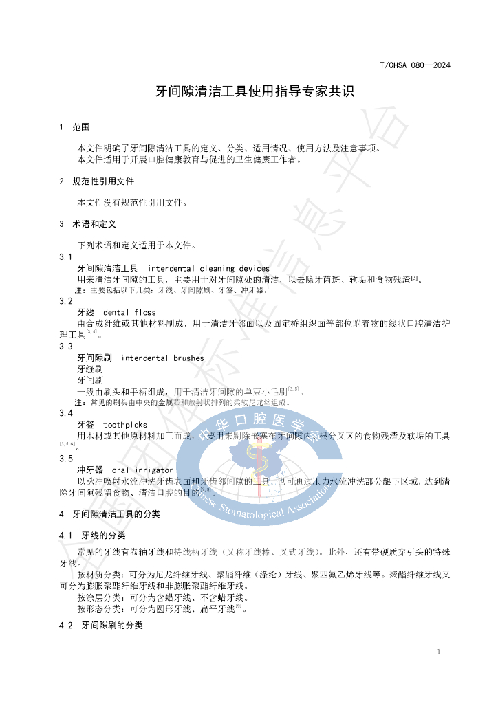 T/CHSA 080-2024 标准预览
