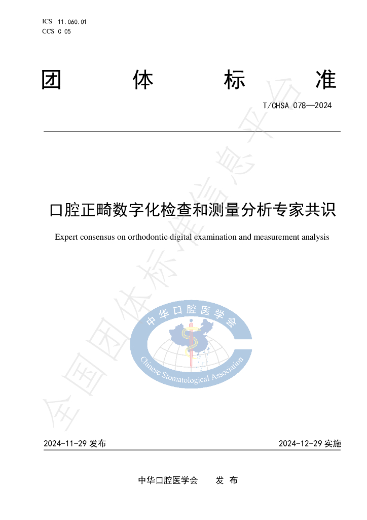T/CHSA 078-2024 标准预览