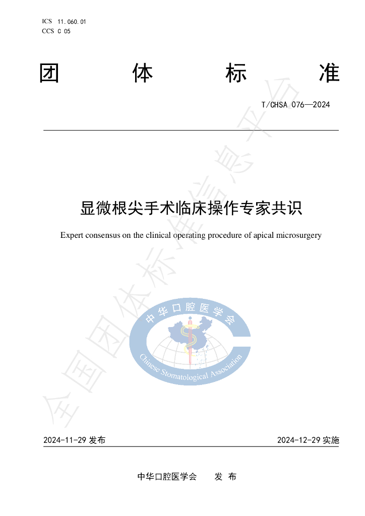 T/CHSA 076-2024 标准预览