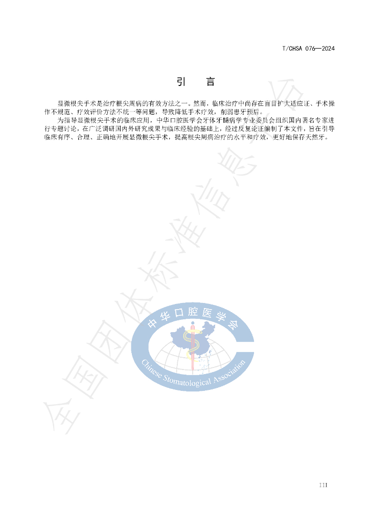 T/CHSA 076-2024 标准预览