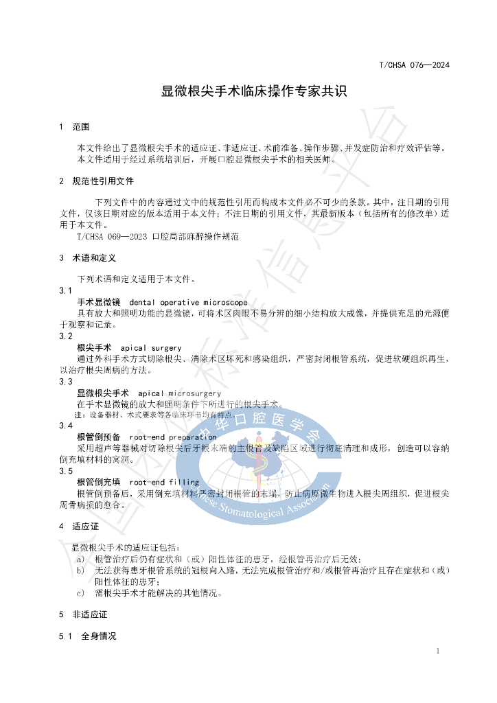 T/CHSA 076-2024 标准预览