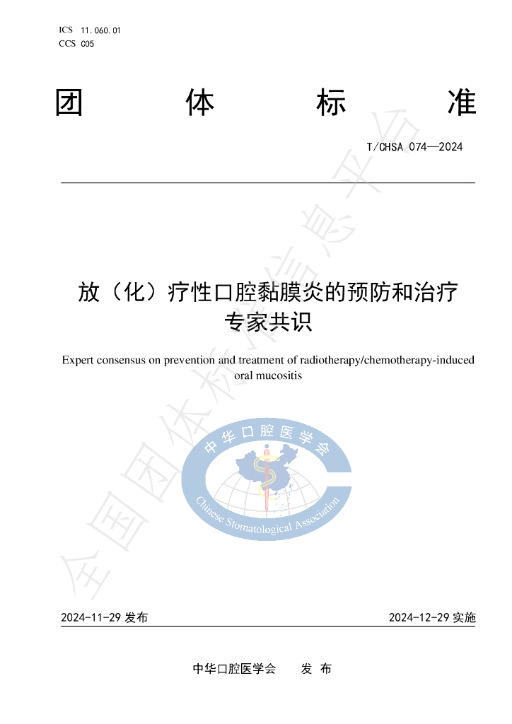 T/CHSA 074-2024 标准预览