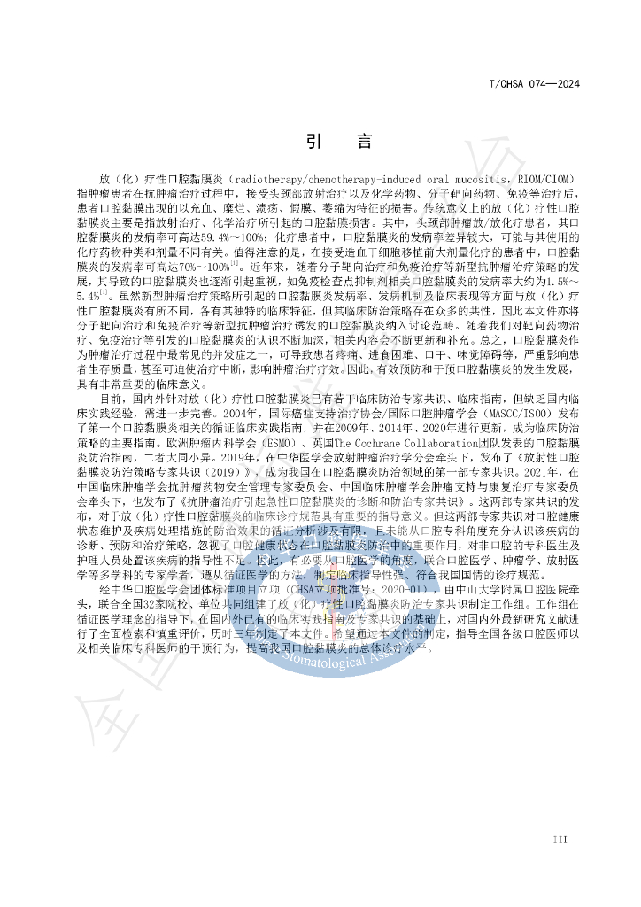T/CHSA 074-2024 标准预览
