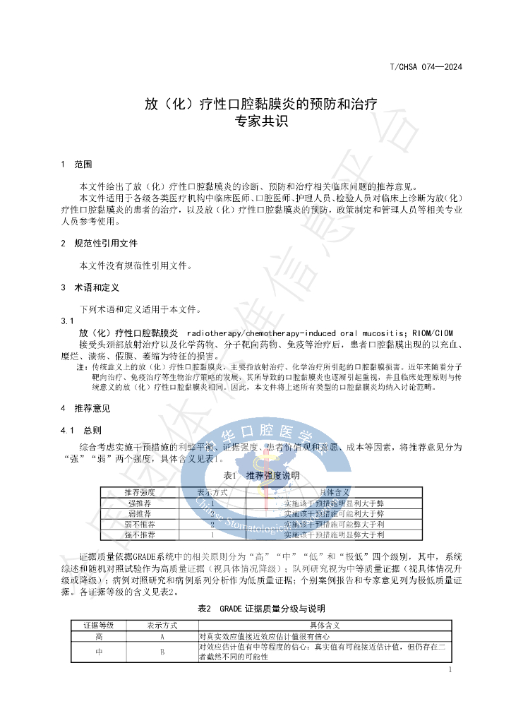 T/CHSA 074-2024 标准预览