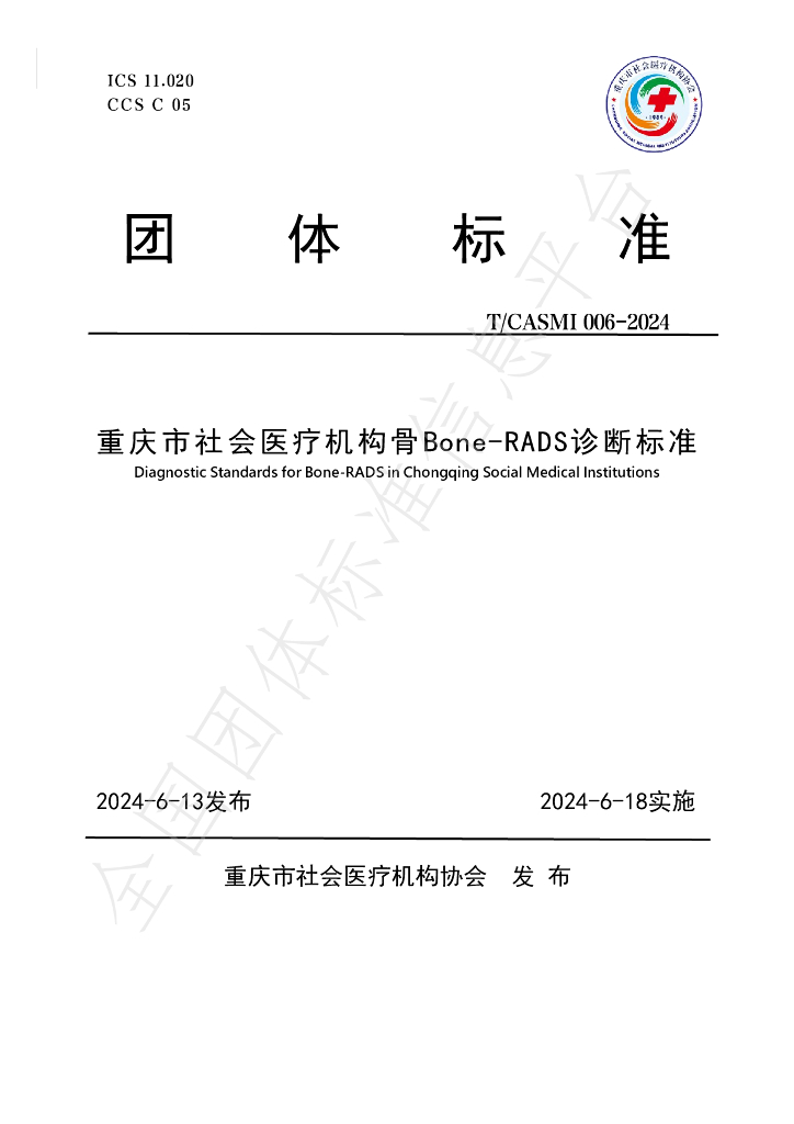 T/CASMI 006-2024 标准预览