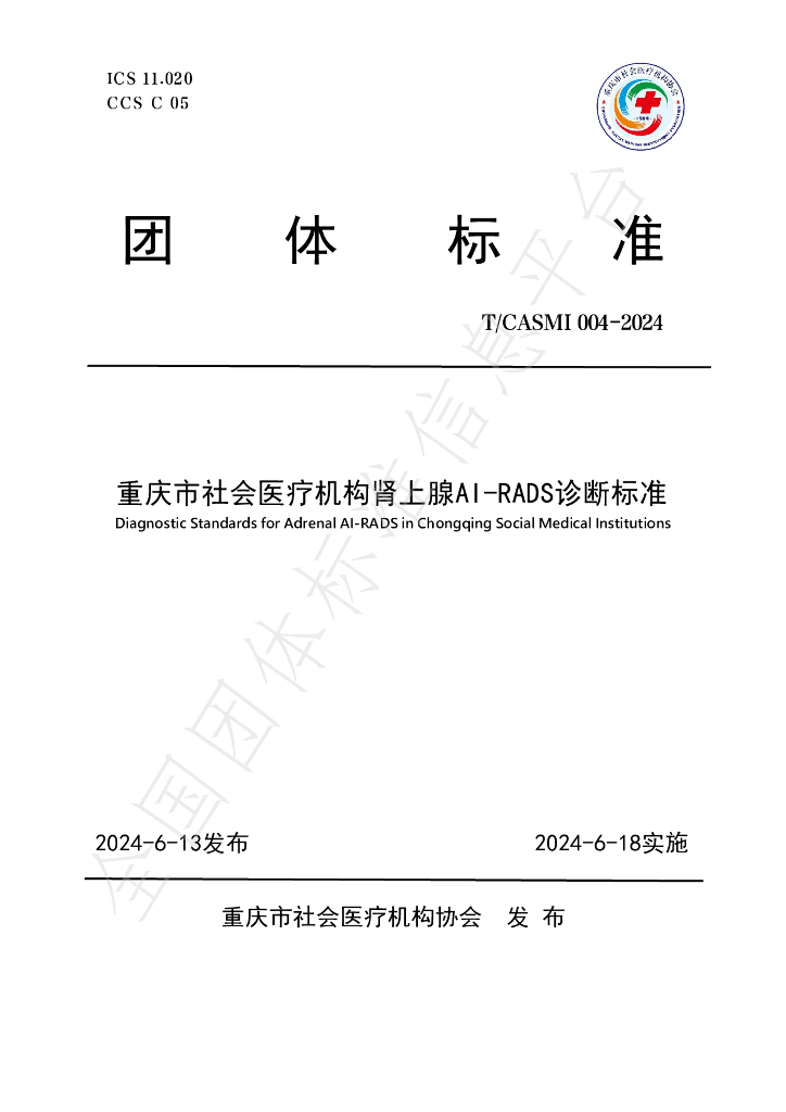 T/CASMI 004-2024 标准预览