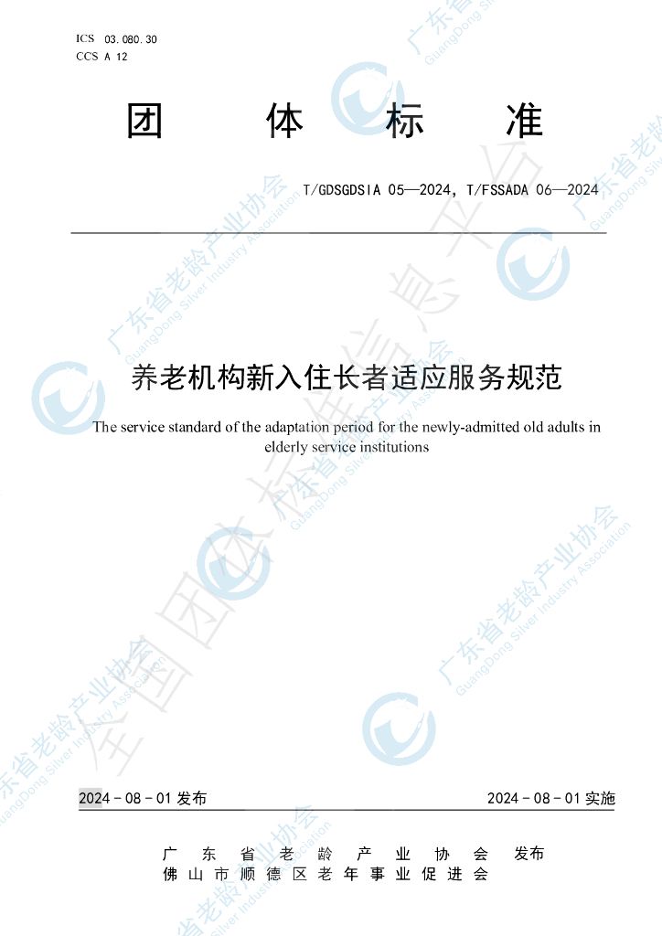 T/GDSGDSIA 05-2024 标准预览