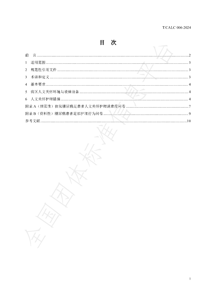 T/CALC 06-2024 标准预览
