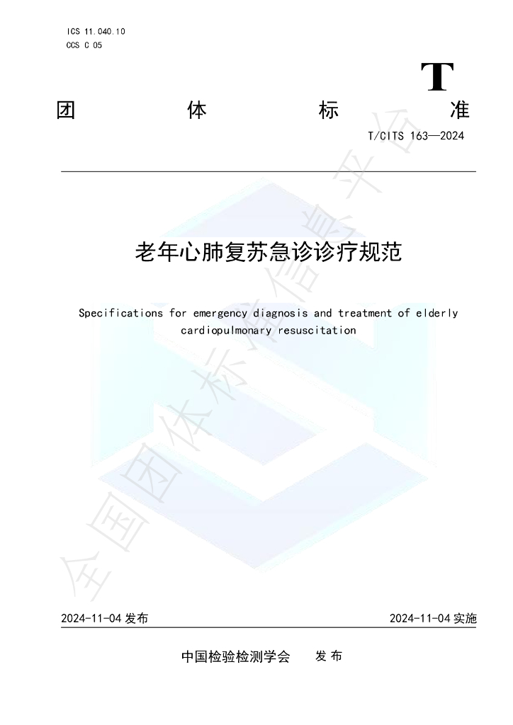 T/CITS 163-2024 标准预览