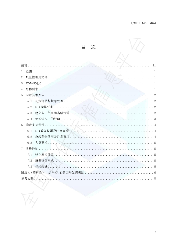 T/CITS 163-2024 标准预览