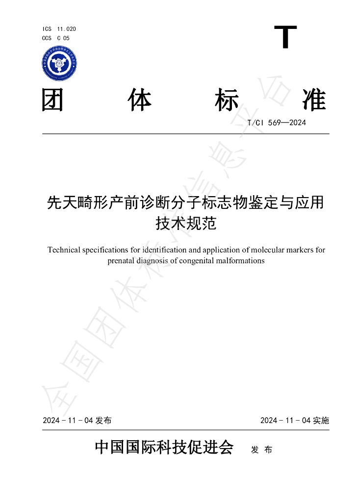 T/CI 569-2024 标准预览