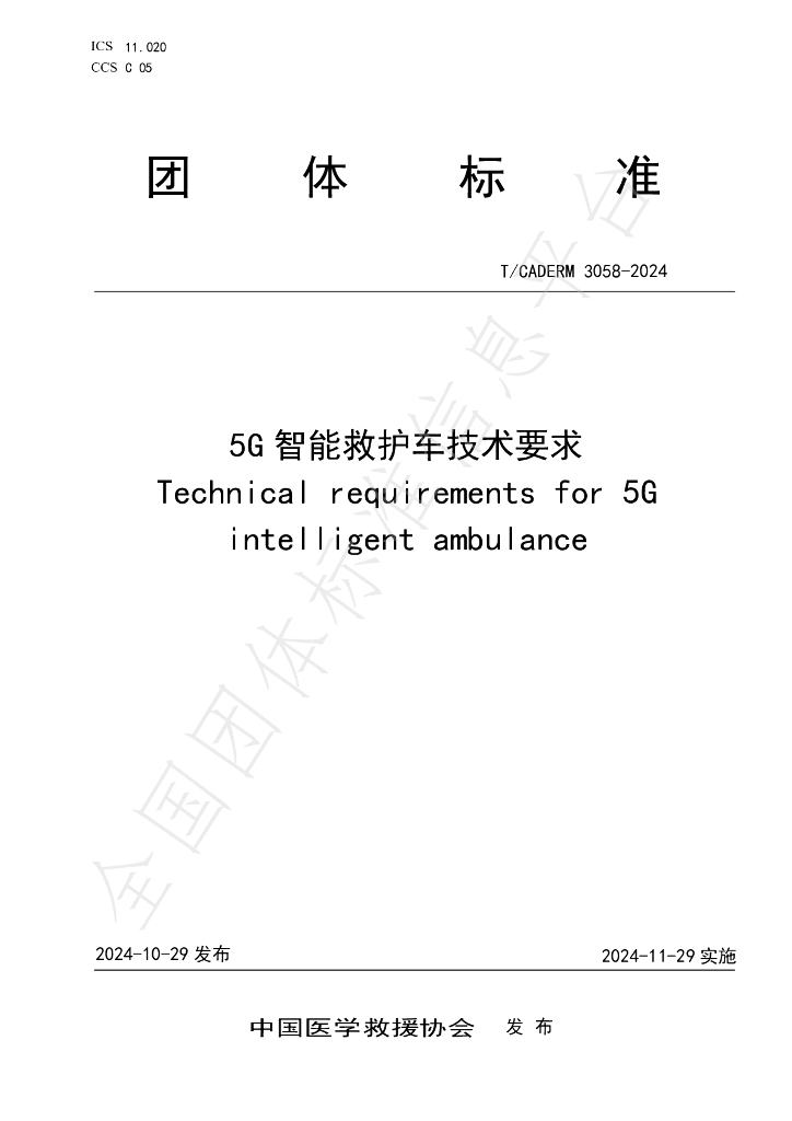 T/CADERM 3058-2024 标准预览