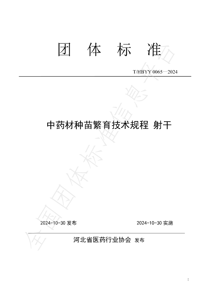 T/HBYY 0065-2024 标准预览